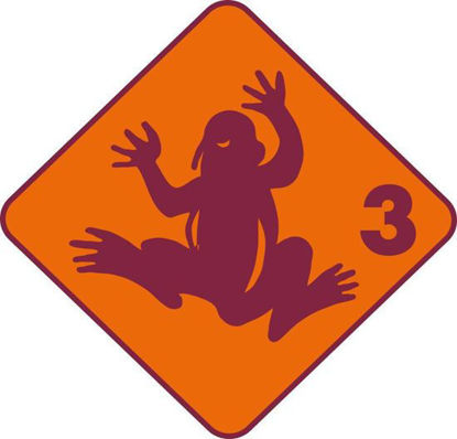 Bild von Groshöchstetten Quartalskurs Frosch