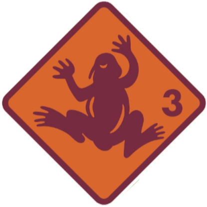 Bild von Groshöchstetten Quartalskurs Frosch 8x