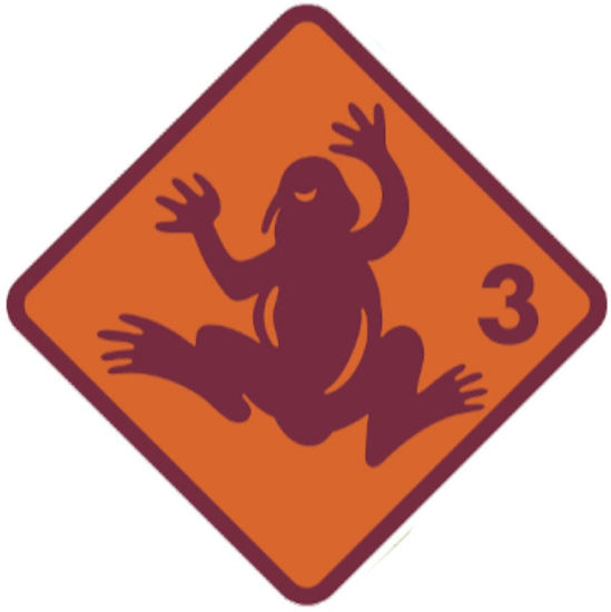 Bild von Groshöchstetten Quartalskurs Frosch 8x