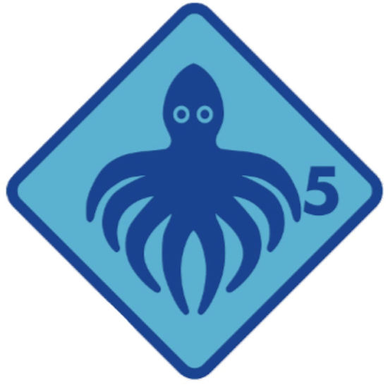 Bild von Rüfenacht Intensivkurs Pinguin (neu) & Tintenfisch