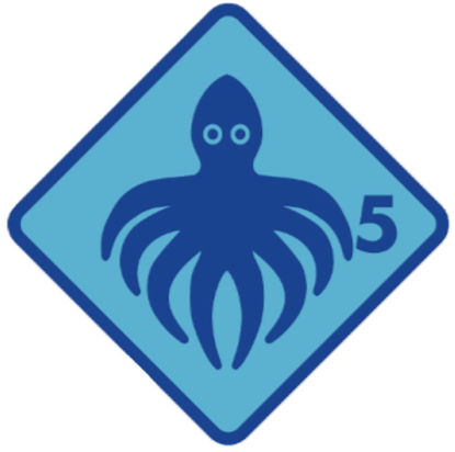 Bild von Grosshöchstetten Quartalskurs Tintenfisch 8x